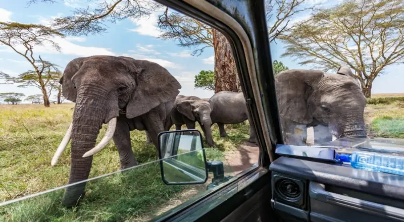 10 Best African Safari Parks